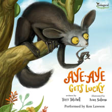 Book cover of Aye-Aye Gets Lucky