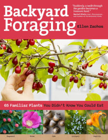 Book cover of Backyard Foraging: 65 Familiar Plants You Didn't Know You Could Eat