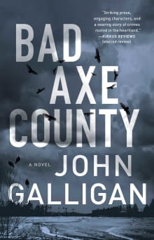 Book cover of Bad Axe County