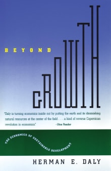 Book cover of Beyond Growth: The Economics of Sustainable Development