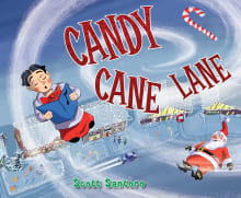 Book cover of Candy Cane Lane