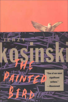 Book cover of The Painted Bird