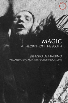 Book cover of Magic: A Theory from the South
