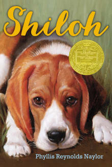 Book cover of Shiloh