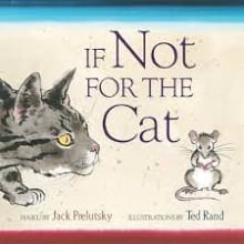 Book cover of If Not for the Cat