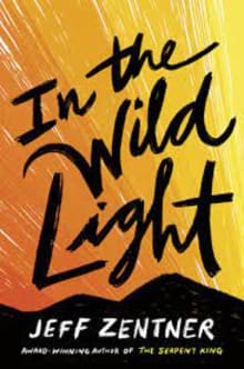 Book cover of In the Wild Light