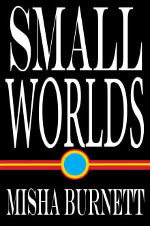 Book cover of Small Worlds