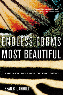 Book cover of Endless Forms Most Beautiful: The New Science of Evo Devo