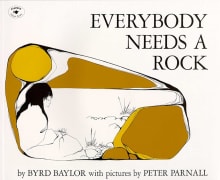 Book cover of Everybody Needs a Rock