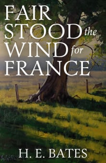 Book cover of Fair Stood the Wind for France