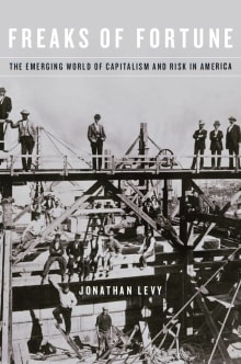 Book cover of Freaks of Fortune: The Emerging World of Capitalism and Risk in America