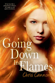 Book cover of Going Down in Flames