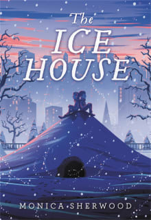 Book cover of The Ice House