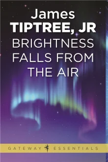 Book cover of Brightness Falls from the Air