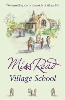 Book cover of Village School