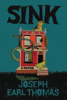 Book cover of Sink