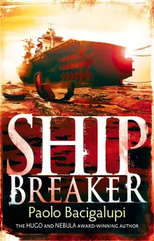 Book cover of Ship Breaker