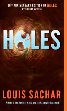 Book cover of Holes