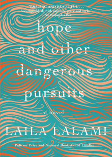 Book cover of Hope and Other Dangerous Pursuits