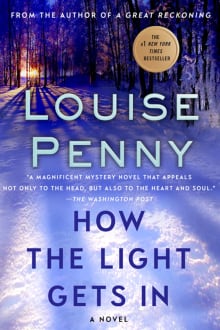 Book cover of How the Light Gets In