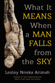 Book cover of What It Means When a Man Falls from the Sky: Stories