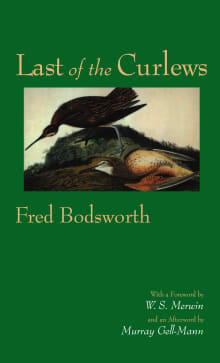 Book cover of Last of the Curlews