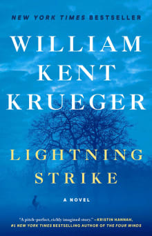 Book cover of Lightning Strike