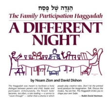 Book cover of A Different Night, The Family Participation Haggadah