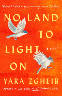 Book cover of No Land to Light On