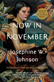 Book cover of Now In November