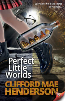 Book cover of Perfect Little World