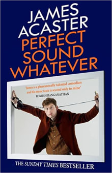 Book cover of Perfect Sound Whatever