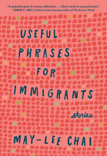 Book cover of Useful Phrases for Immigrants: Stories