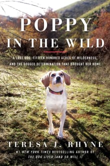 Book cover of Poppy in the Wild: A Lost Dog, Fifteen Hundred Acres of Wilderness, and the Dogged Determination that Brought Her Home