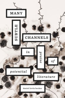 Book cover of Many Subtle Channels: In Praise of Potential Literature