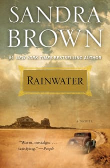 Book cover of Rainwater