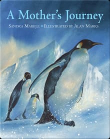 Book cover of A Mother's Journey