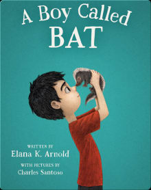 Book cover of A Boy Called Bat