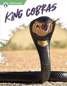 Book cover of Reptiles: King Cobras