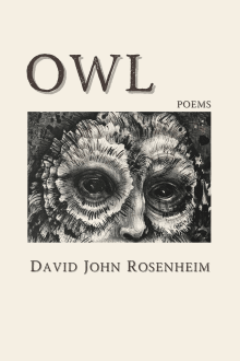 Book cover of Owl