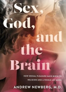 Book cover of Sex, God, and the Brain: How Sexual Pleasure Gave Birth to Religion and a Whole Lot More