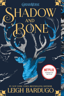 Book cover of Shadow and Bone