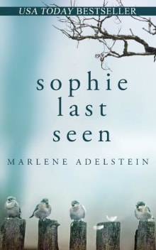 Book cover of Sophie Last Seen