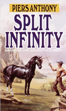 Book cover of Split Infinity