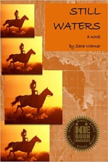 Book cover of Still Waters