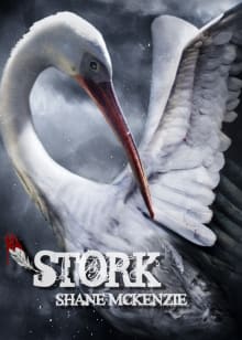 Book cover of Stork