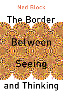 Book cover of The Border Between Seeing and Thinking