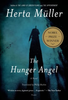 Book cover of The Hunger Angel