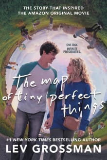 Book cover of The Map of Tiny Perfect Things