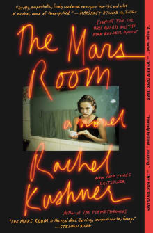 Book cover of The Mars Room